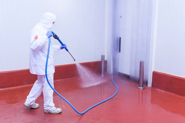 Best Oil Spill Cleanup  in Quartz Hill, CA